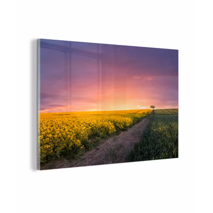 Bloemen - Weg - Lucht - Geel - Paars - Zonsondergang - Natuur plexiglas 5mm klein -z3d