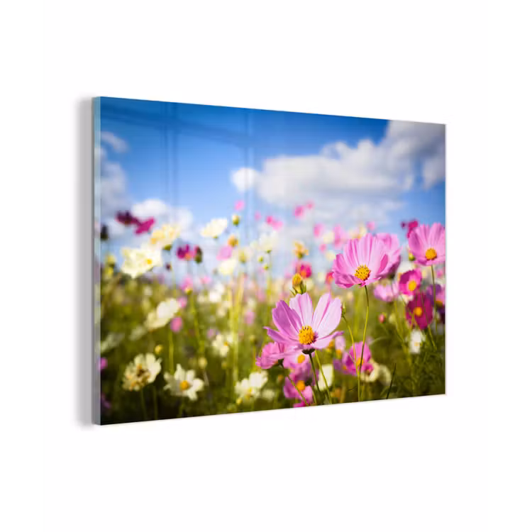 Bloemen - Wei - Paars - Gras - Wit - Wolken - Blauw plexiglas 5mm klein -zzzproduct_nieuw