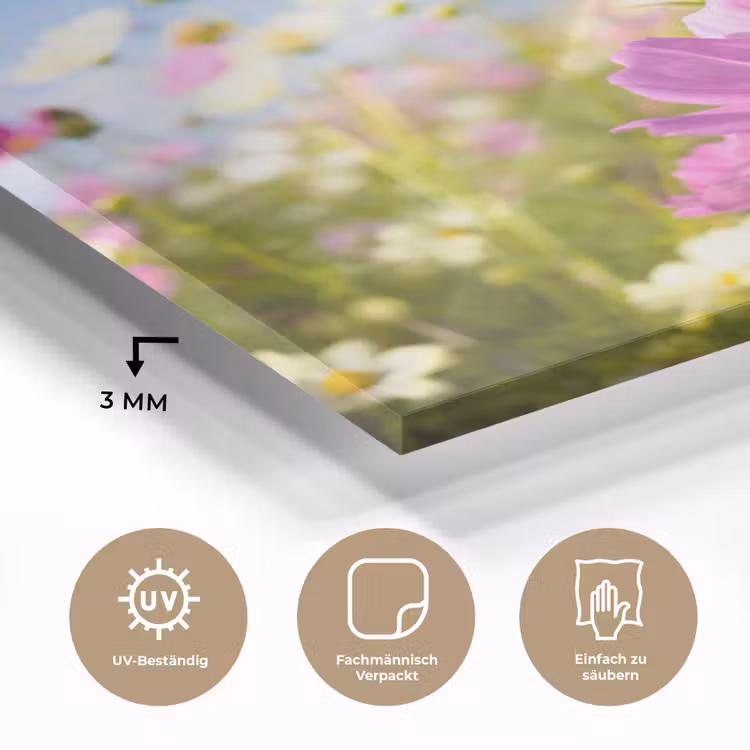 Bloemen - Wei - Paars - Gras - Wit - Wolken - Blauw plexiglas 5mm klein -wsfeer2_DE