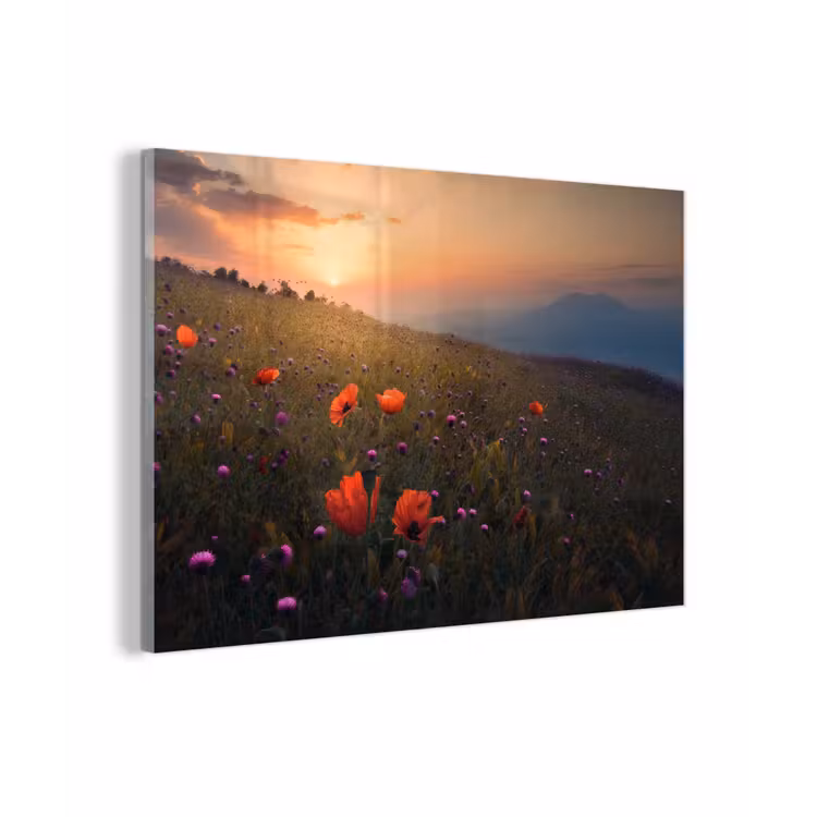 Bloemenveld - Gras - Bloemen - Planten - Zonsondergang - Oranje plexiglas 5mm klein -zzzproduct_nieuw