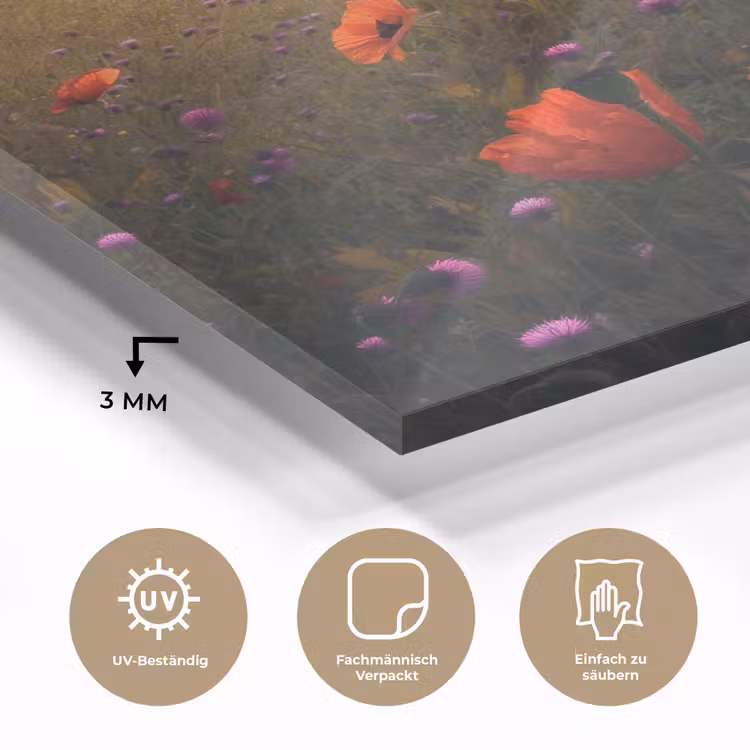 Bloemenveld - Gras - Bloemen - Planten - Zonsondergang - Oranje plexiglas 5mm klein -wsfeer2_DE