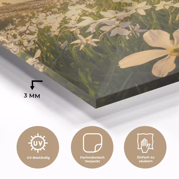 Bloemenveld - Heuvels - Zonsondergang - Berg - Natuur - Wit - Heuvels plexiglas 5mm klein -wsfeer2_DE