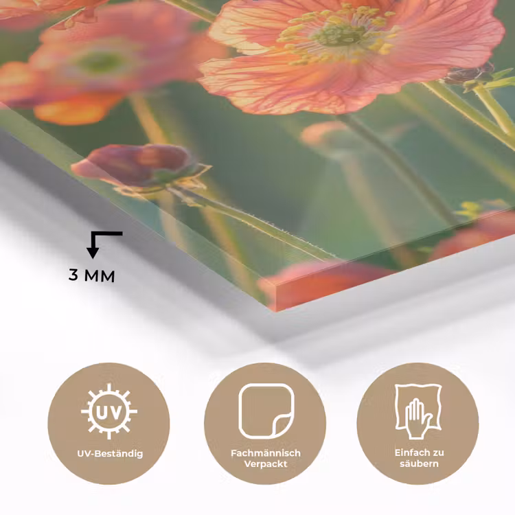 Bloemenveld - Zonnestralen - Oranje plexiglas 5mm klein -wsfeer2_DE