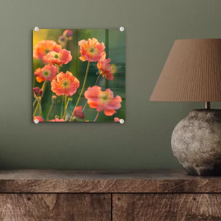 Bloemenveld - Zonnestralen - Oranje plexiglas 5mm klein -sfeer3