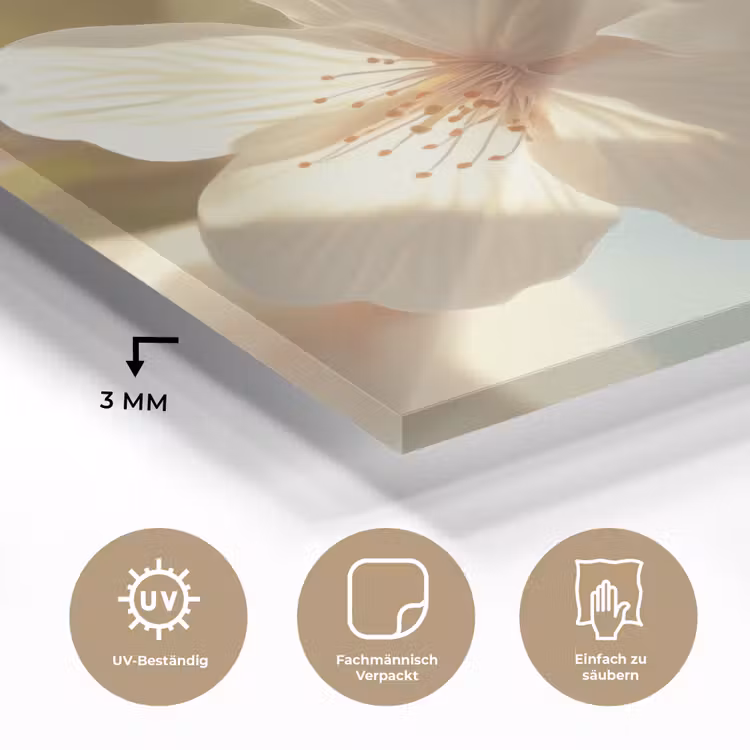 Bloesems - Wit - Zonnestralen - Bloemblaadjes plexiglas 5mm klein -wsfeer2_DE
