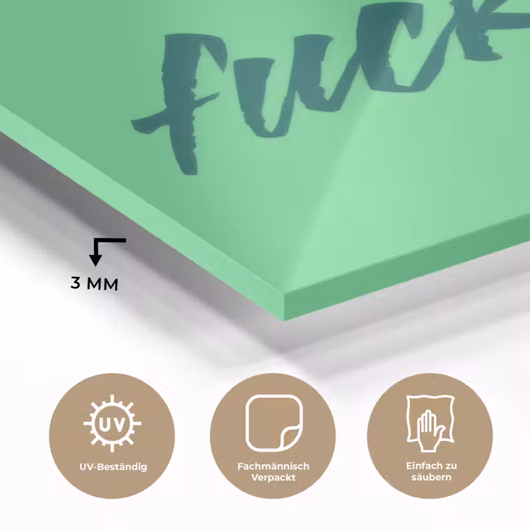 c'est la fucking vie - Groen - Penseelstijl plexiglas 5mm klein -wsfeer2_DE