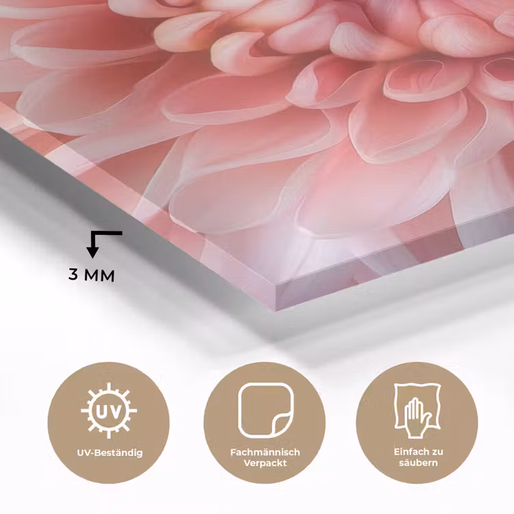 Dahlia - Bloem - Close up - Roze plexiglas 5mm klein -wsfeer2_DE