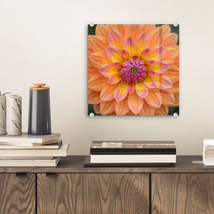 Dahlia - Bloem - Oranje plexiglas 5mm klein -sfeer1