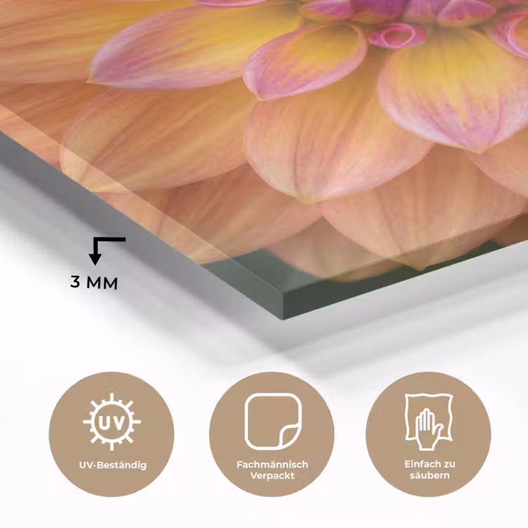 Dahlia - Bloem - Oranje plexiglas 5mm klein -wsfeer2_DE