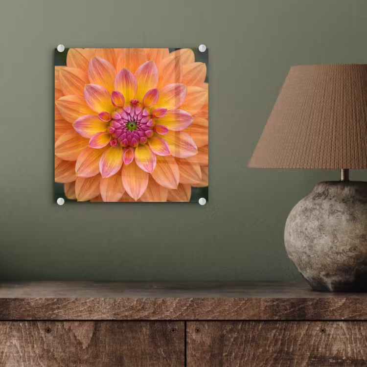 Dahlia - Bloem - Oranje plexiglas 5mm klein -sfeer3