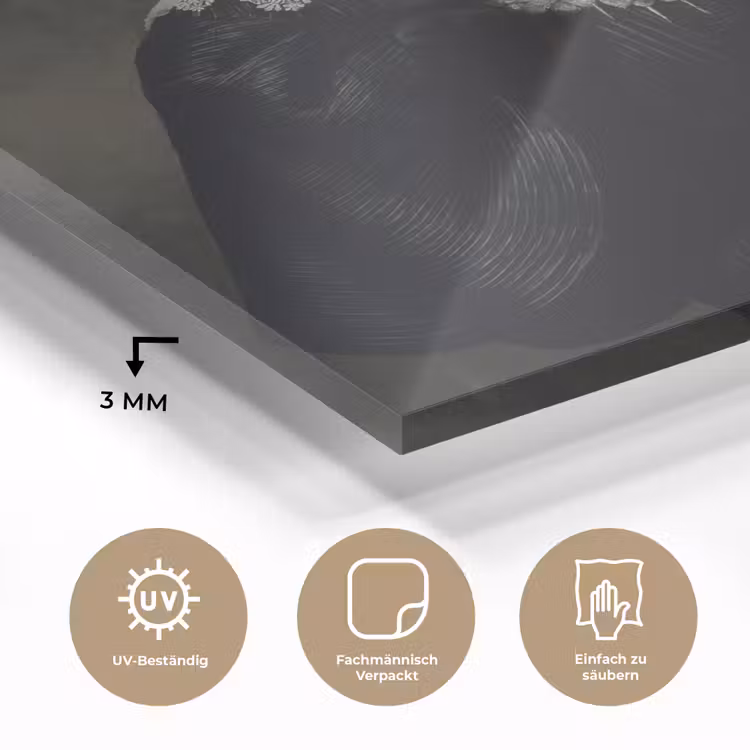 Das Hochzeitsbildnis von Marten Soolmans - Rembrandt van Rijn plexiglas 5mm klein -wsfeer2_DE