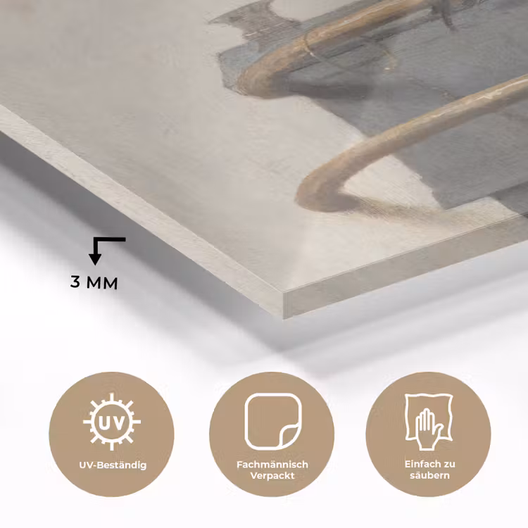 Het puttertje - Carel Fabritius plexiglas 5mm klein -wsfeer2_DE