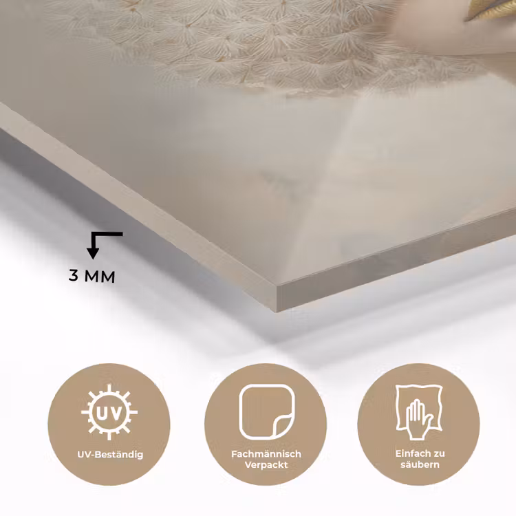 Dromerig - Beige - Paardenbloemzaadjes plexiglas 5mm klein -wsfeer2_DE