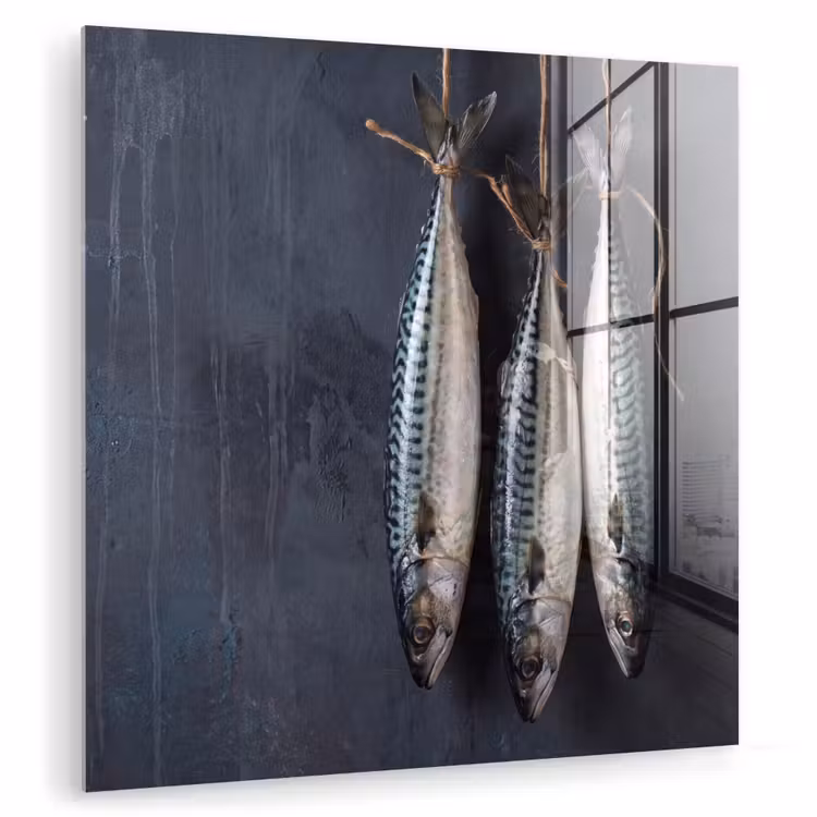 Glasbild - Drei Fische – Seil - Drie vissen - Touw plexiglas 5mm klein