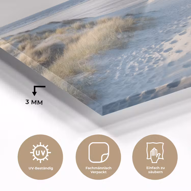 Duin - Meeuw - Strand - Zee - Zon plexiglas 5mm klein -wsfeer2_DE