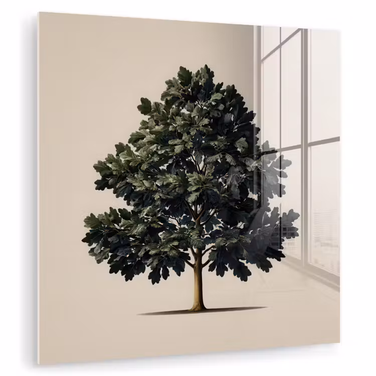 Eikenboom - Schaduw - Egaal plexiglas 5mm klein -zzzproduct_nieuw