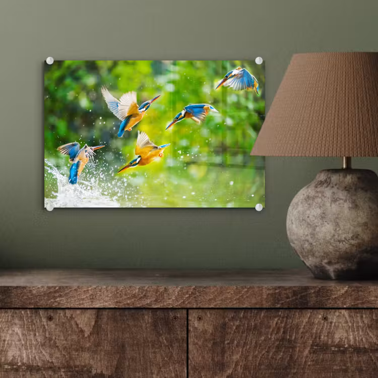 IJsvogels vliegen in het water plexiglas 5mm klein -sfeer3
