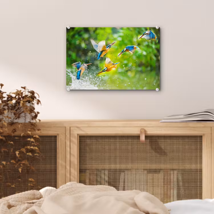 IJsvogels vliegen in het water plexiglas 5mm klein -sfeer4