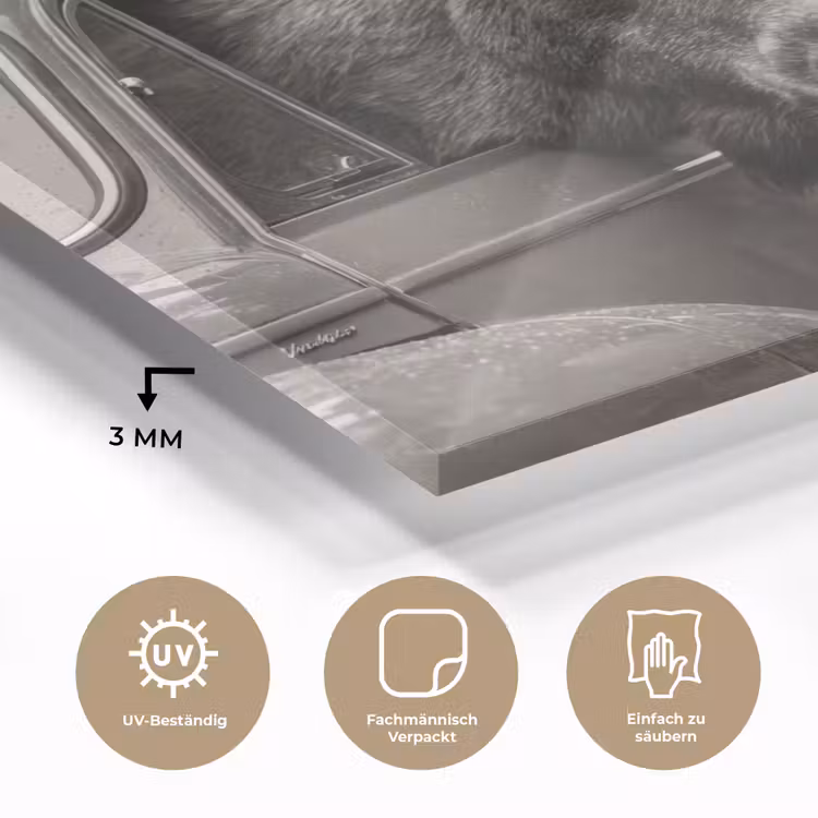 Eland - Auto - Gewei - Zwart - Wit plexiglas 5mm klein -wsfeer2_DE