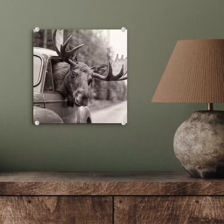 Eland - Auto - Gewei - Zwart - Wit plexiglas 5mm klein -sfeer3