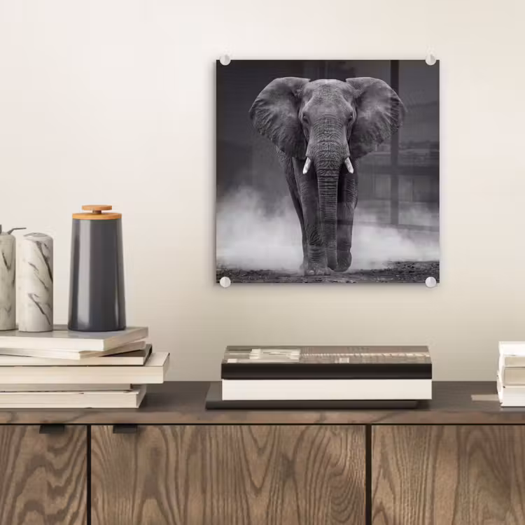 Olifant - Zwart - Wit - Rook plexiglas 5mm klein -sfeer1