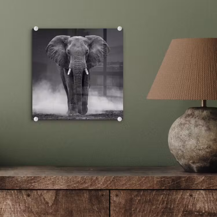 Olifant - Zwart - Wit - Rook plexiglas 5mm klein -sfeer3
