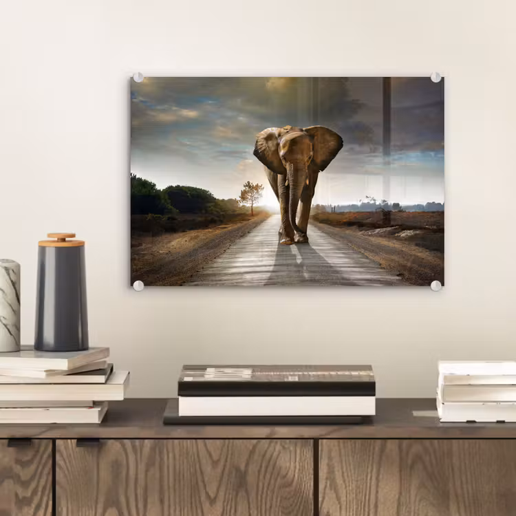 Olifant - Weg - Dieren - Zonsondergang - Landschap plexiglas 5mm klein -sfeer1