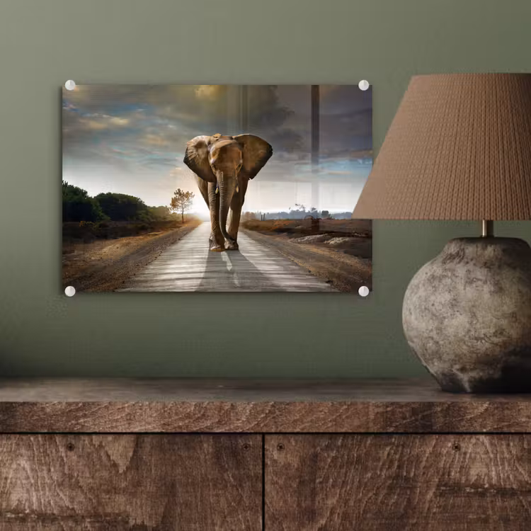 Olifant - Weg - Dieren - Zonsondergang - Landschap plexiglas 5mm klein -wsfeer2_DE
