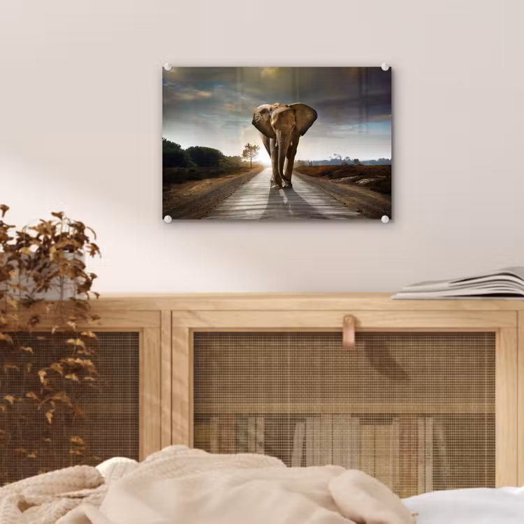 Olifant - Weg - Dieren - Zonsondergang - Landschap plexiglas 5mm klein -sfeer3