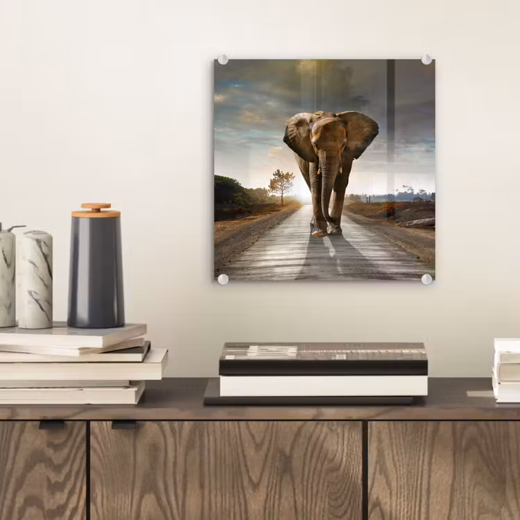 Olifant - Weg - Dieren - Zonsondergang - Landschap plexiglas 5mm klein -sfeer1