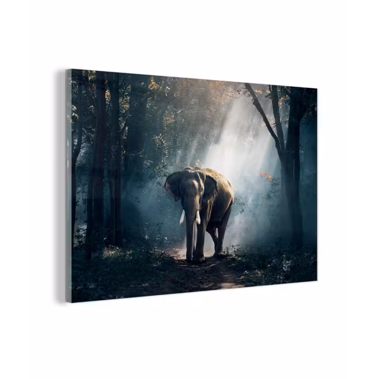 Olifant - Dieren - Licht - Bos - Natuur - Wilde dieren plexiglas 5mm klein -zzzproduct_nieuw