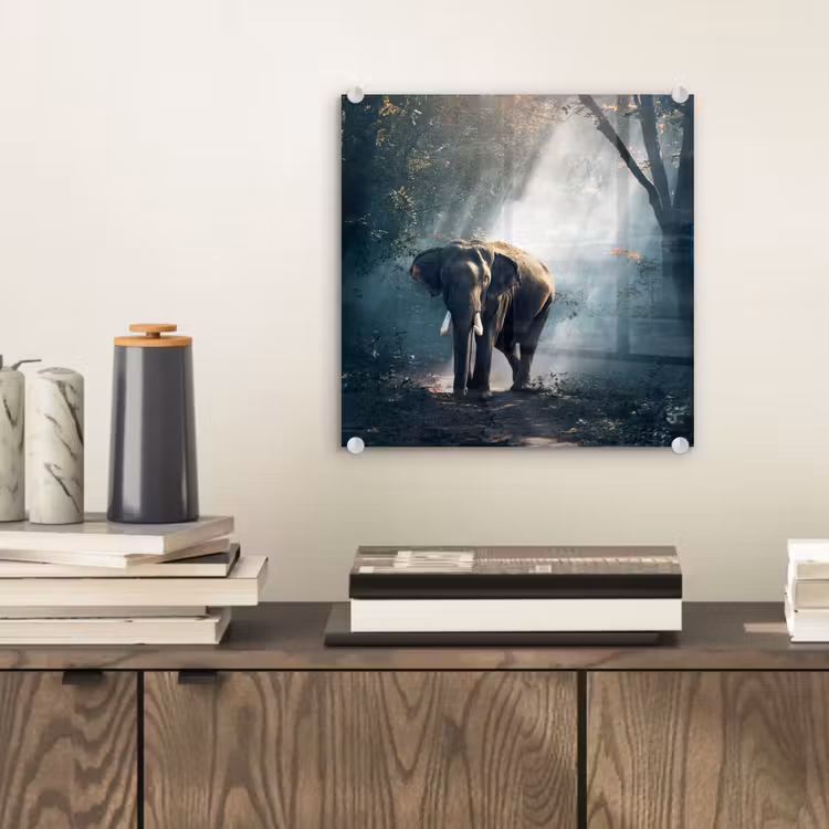 Olifant - Dieren - Licht - Bos - Natuur - Wilde dieren plexiglas 5mm klein -sfeer1