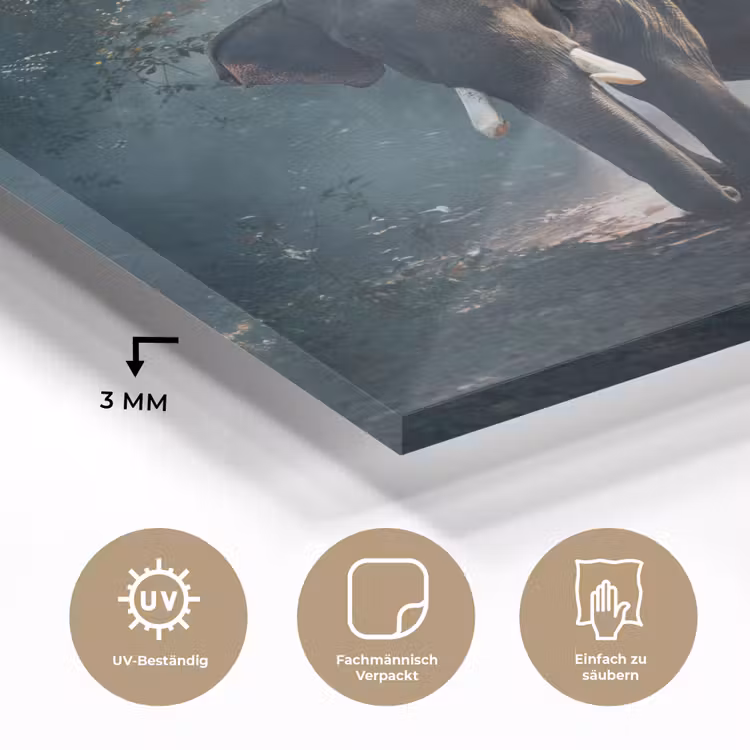 Olifant - Dieren - Licht - Bos - Natuur - Wilde dieren plexiglas 5mm klein -wsfeer2_DE