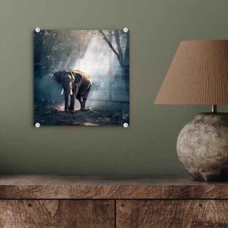 Olifant - Dieren - Licht - Bos - Natuur - Wilde dieren plexiglas 5mm klein -sfeer3
