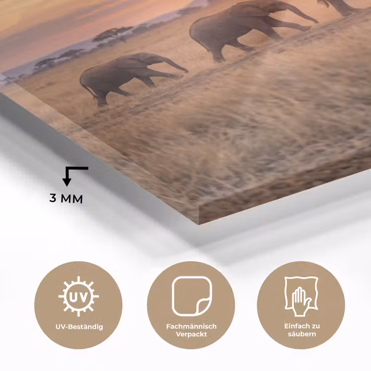 Olifanten - Savanne - Zonsondergang - Afrika - Warm plexiglas 5mm klein -wsfeer2_DE