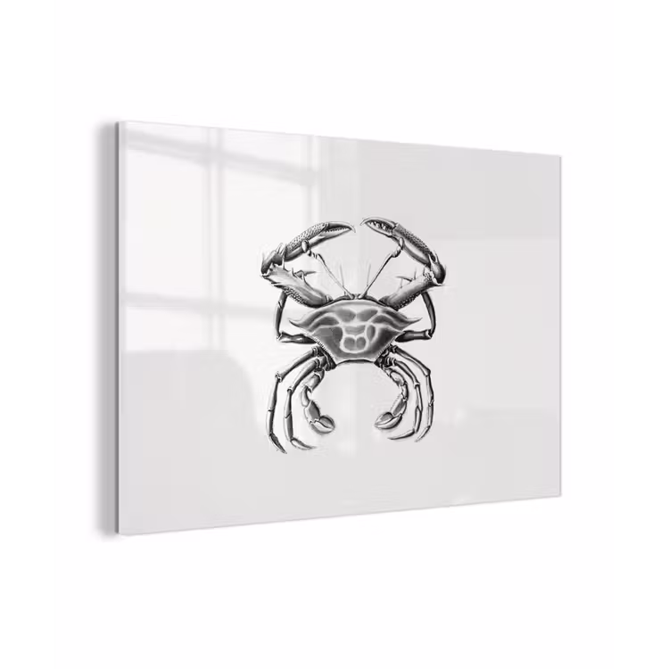 Ernst Haeckel - Vintage - Kunst - Krab plexiglas 5mm klein -sfeer1