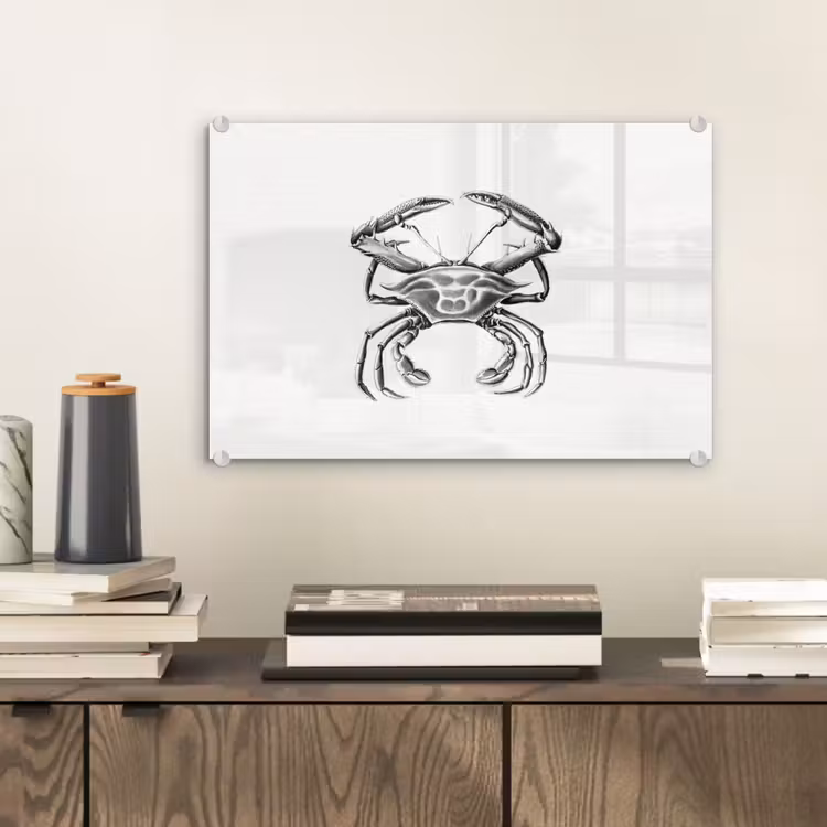 Ernst Haeckel - Vintage - Kunst - Krab plexiglas 5mm klein -wsfeer2_DE