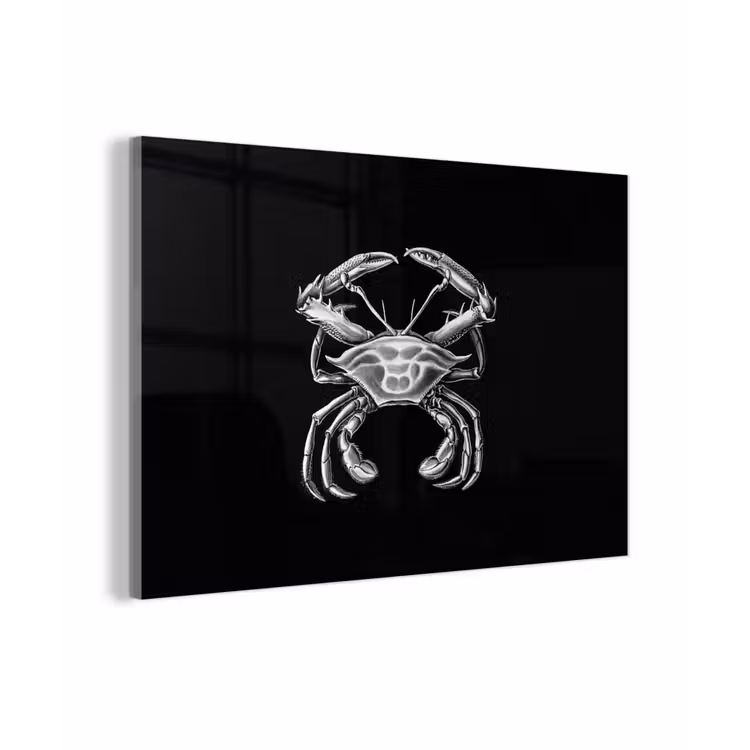 Ernst Haeckel - Krab - Oude meesters - Vintage - Dieren - Kunst plexiglas 5mm klein -sfeer1