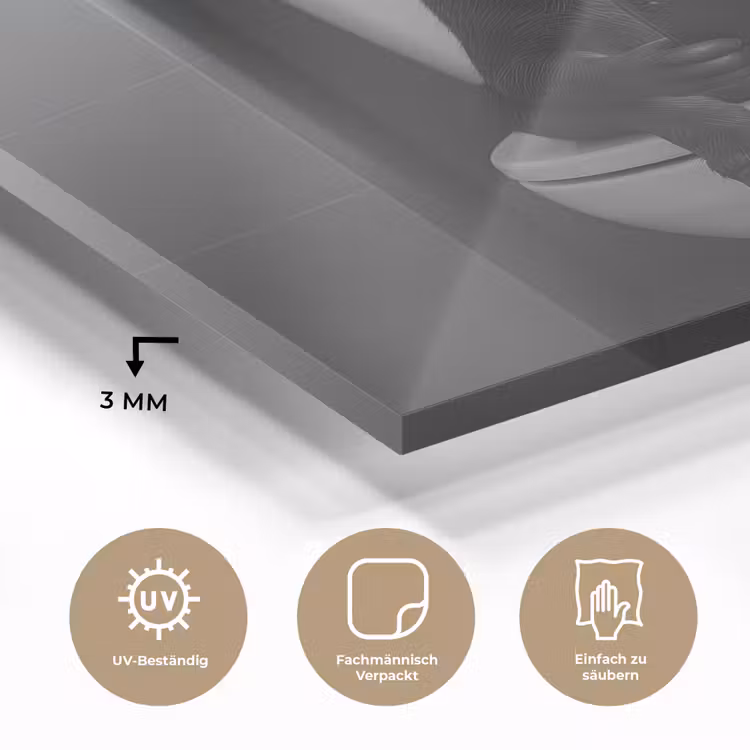 Ezel - Telefoon - Toilet - Zwart - Wit plexiglas 5mm klein -wsfeer2_DE