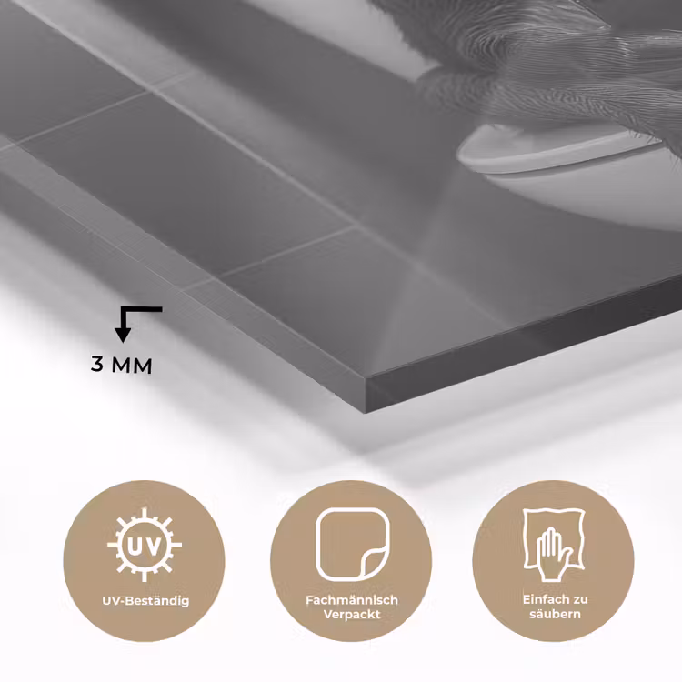 Ezel - Telefoon - Toilet - Zwart - Wit plexiglas 5mm klein -wsfeer2_DE