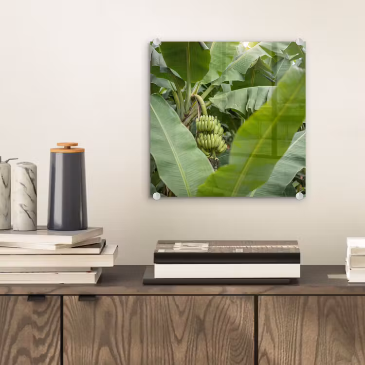 Glasbild - Essen – Bananen – Plantage – Grün - Eten - Bananen - Plantage - Groen plexiglas 5mm klein