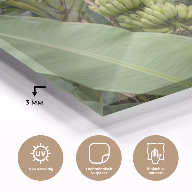 Glasbild - Essen – Bananen – Plantage – Grün - Eten - Bananen - Plantage - Groen plexiglas 5mm klein