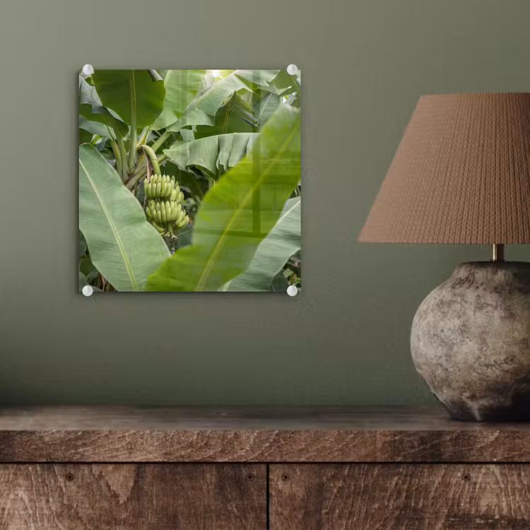 Glasbild - Essen – Bananen – Plantage – Grün - Eten - Bananen - Plantage - Groen plexiglas 5mm klein