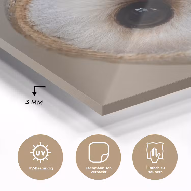 Uil - Bruin - Wit plexiglas 5mm klein -wsfeer2_DE
