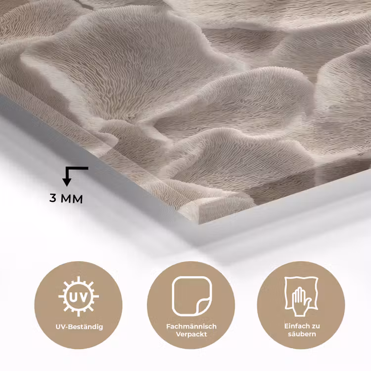 Waaiervorm - Beige - Vezel textuur plexiglas 5mm klein 11 -wsfeer2_DE