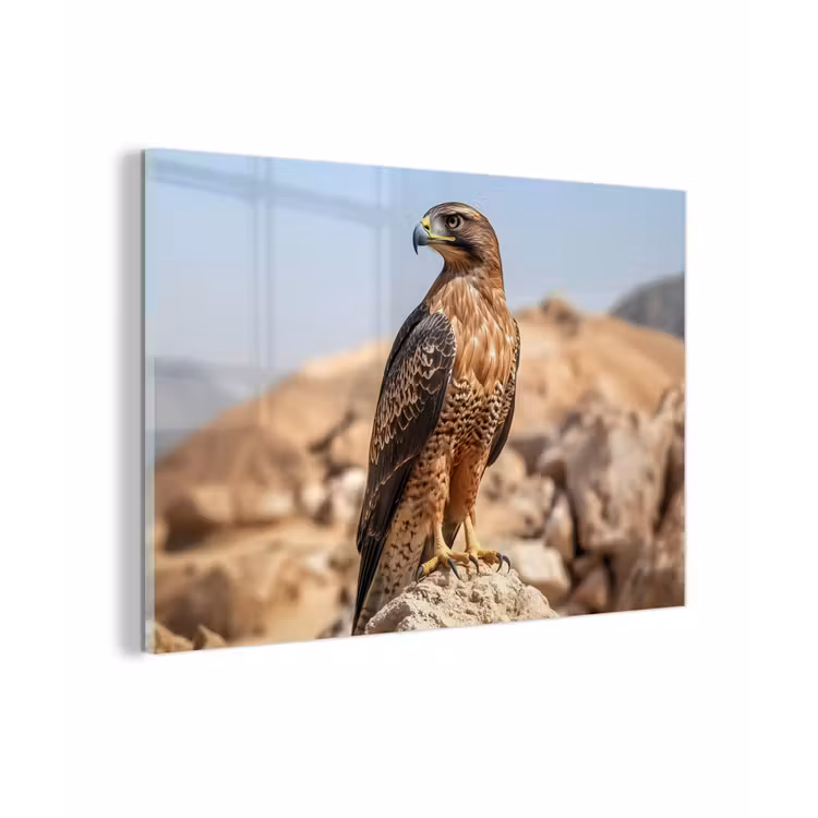 Valk - Vogel - Rots - Macht plexiglas 5mm klein -zzzproduct_nieuw