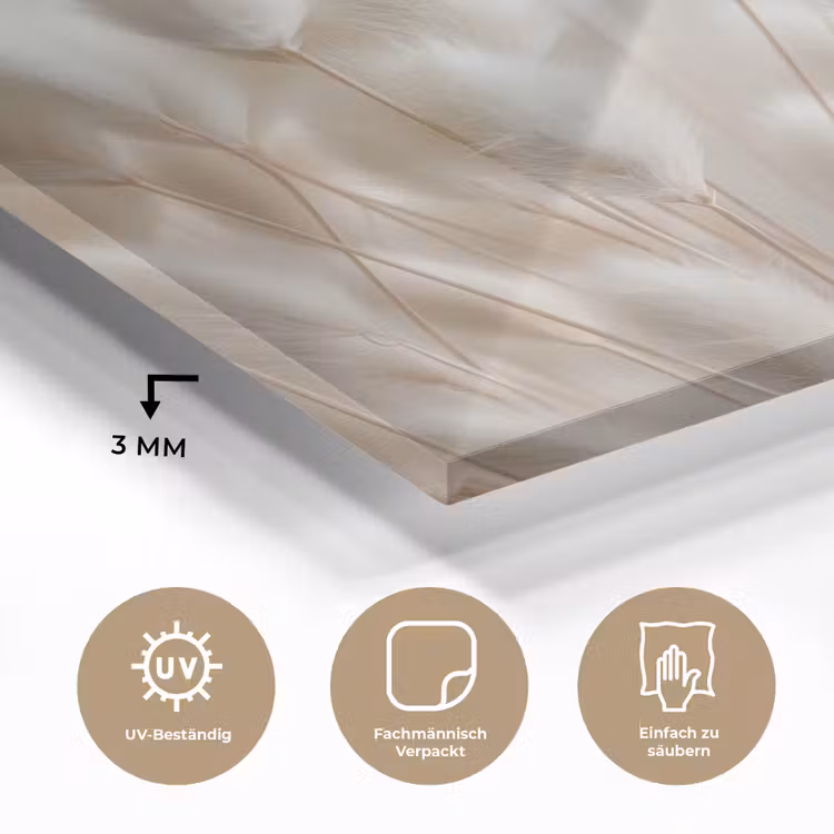Pluimen - Beige - Minimalistisch plexiglas 5mm klein -wsfeer2_DE