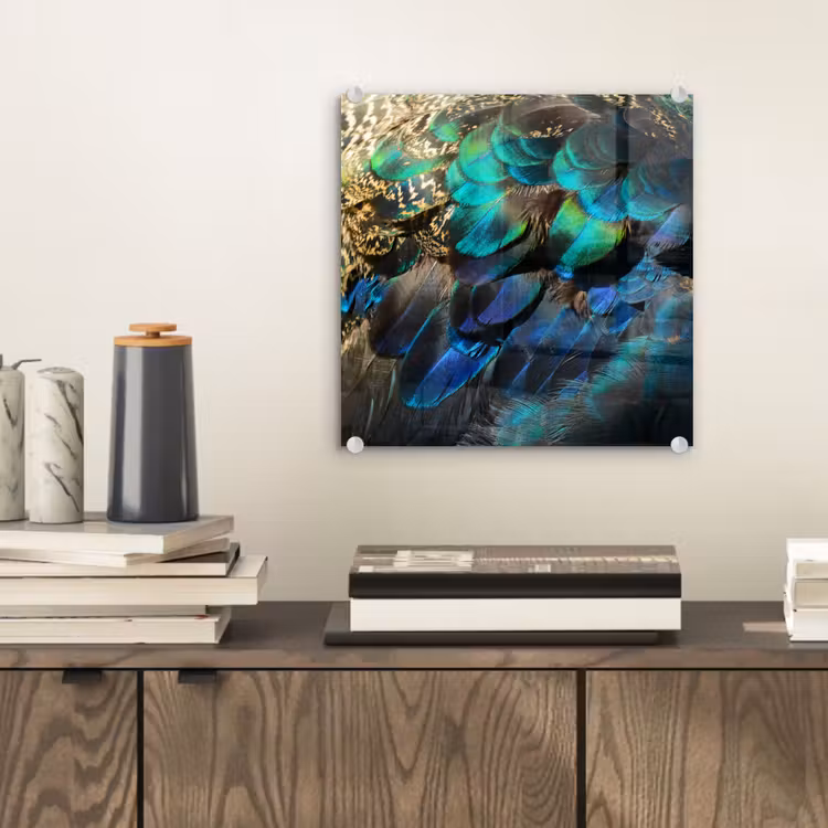 Veren - Pauwveren - Pauw - Blauw - Kunst plexiglas 5mm klein -sfeer1