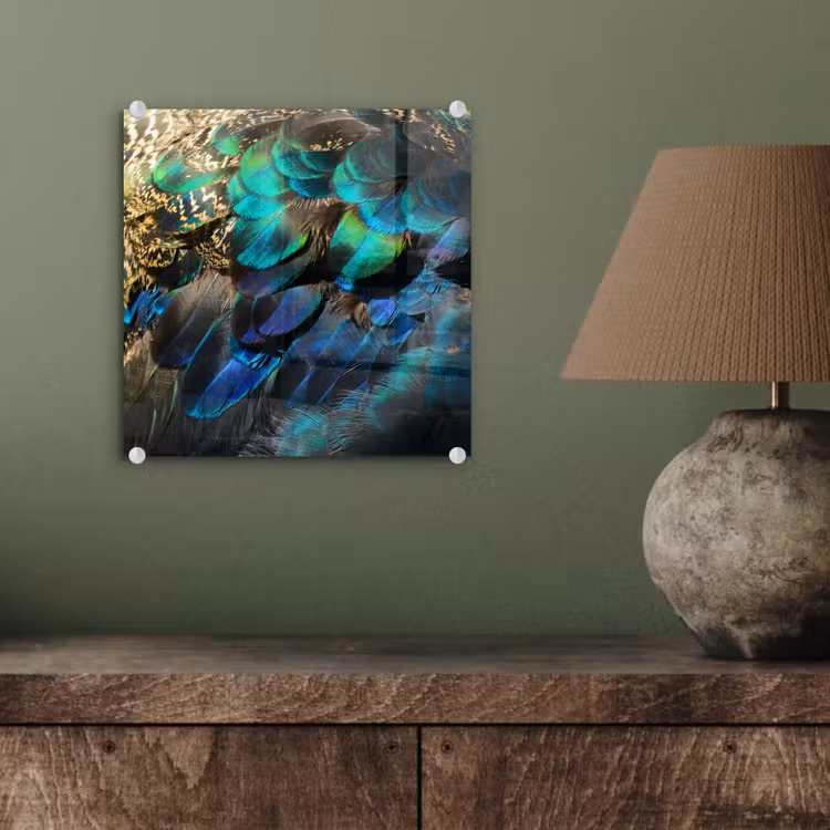 Veren - Pauwveren - Pauw - Blauw - Kunst plexiglas 5mm klein -sfeer3