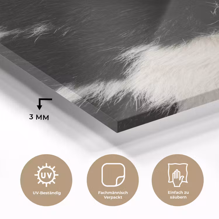 Bont - Textuur - Zwart - Wit plexiglas 5mm klein -wsfeer2_DE